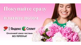 Что можно оплачивать картой Сплит в Кант