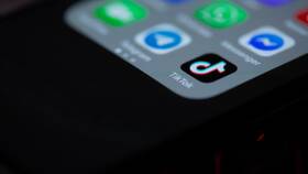Что означают подписки в TikTok в Кант