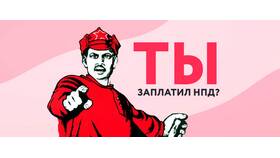 Что такое налог на профессиональный доход (НПД) в Кант