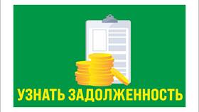 Что за организация Волга Займ? в Кант