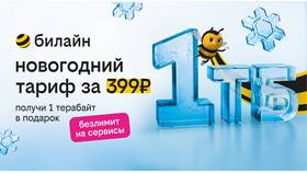 Как подключить бесплатный интернет на телефоне Билайн в Кант