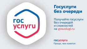 Как погасить долг через портал Госуслуги в Кант