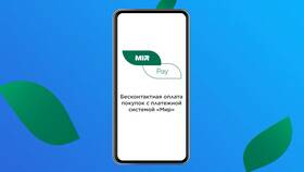 Как сделать СберПэй основным платежным приложением в Кант