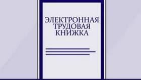Как заказать справку СТД ПФР через Госуслуги в Кант