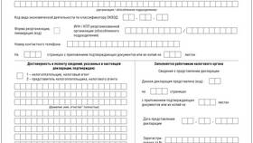 Как заполняется декларация по налогу на прибыль в Кант