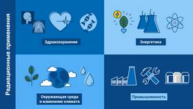 На что можно потратить субсидию: допустимые направления использования в Кант
