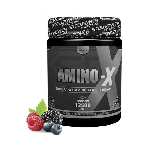 Аминокислотный комплекс AMINO-X, вкус «Лесные ягоды», 250 гр, STEELPOWER в Кант