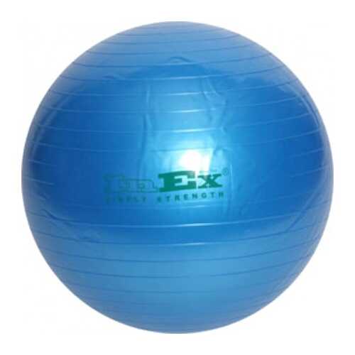 Гимнастический мяч Swiss Ball INEX (75 см, синий) в Кант